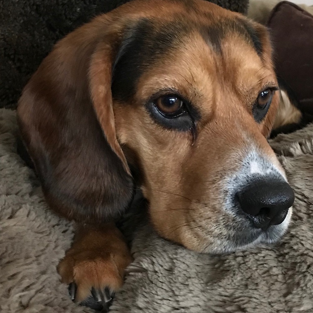 Meet your Posher, Valerie